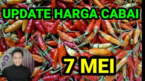 Cara Mendapatkan Harga Cabe Rawit yang Terbaik di Pasar Pare