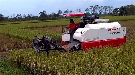 Fungsi dan Kelebihan Combi Pemotong Padi